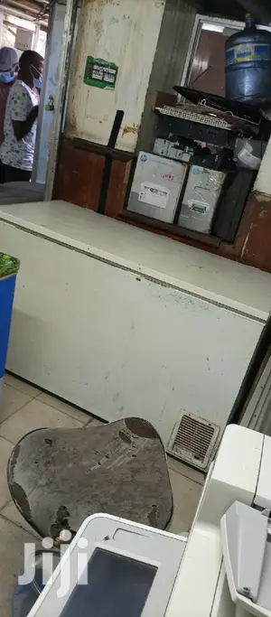 Deep Freezer 500L