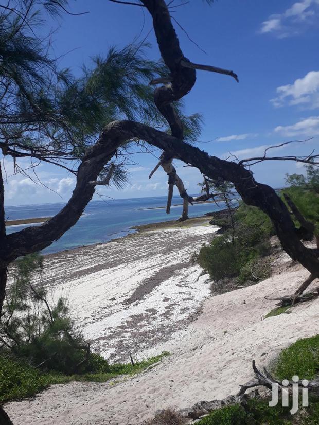 For Sale 4 and a Half Beach Land Malindi - thumbnail 2