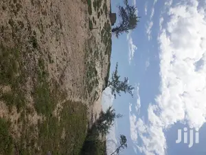 For Sale 4 and a Half Beach Land Malindi