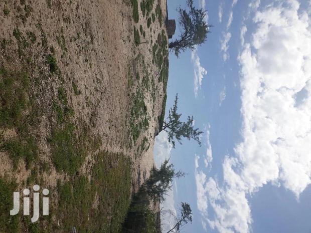 For Sale 4 and a Half Beach Land Malindi - thumbnail 4