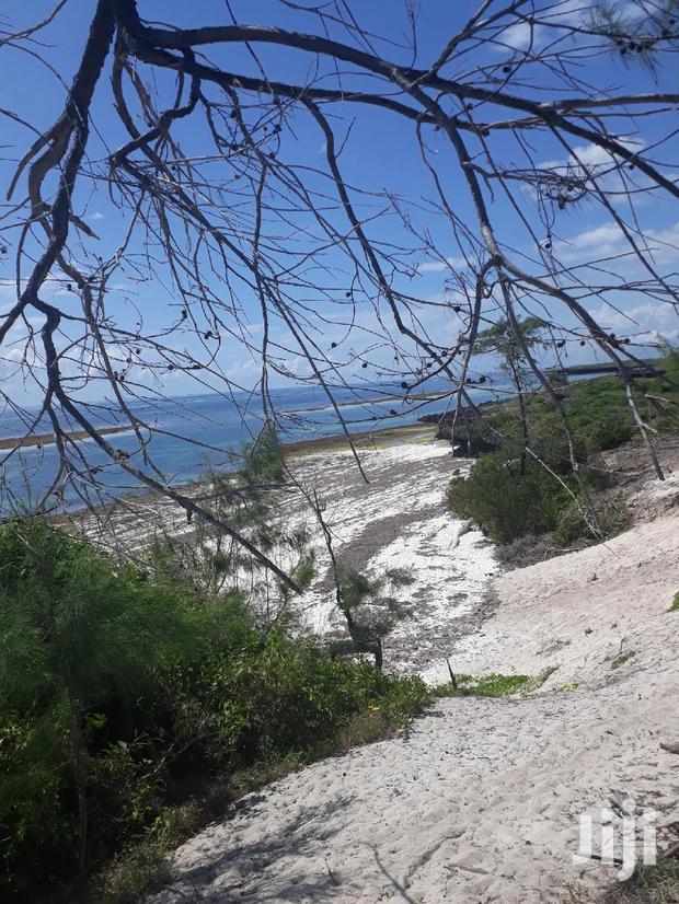 For Sale 4 and a Half Beach Land Malindi - thumbnail 5