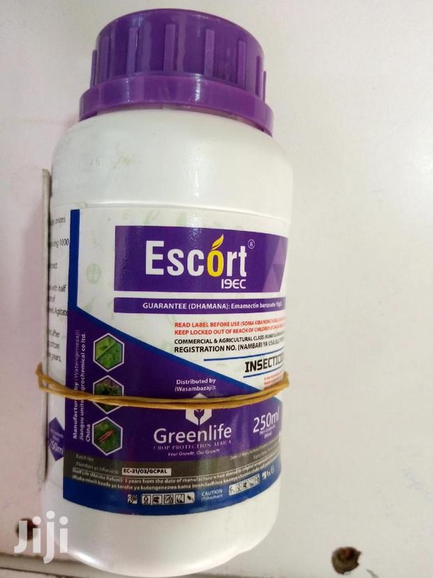 Escort Insecticide 250ml