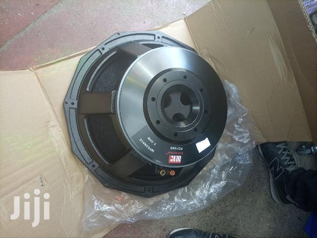 New Retone 18" Naked Speaker - thumbnail 4