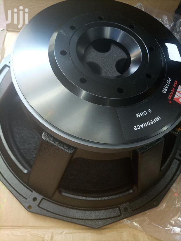 New Retone 18" Naked Speaker - thumbnail 2
