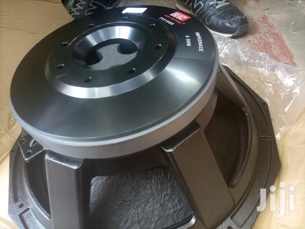 New Retone 18" Naked Speaker - thumbnail 3