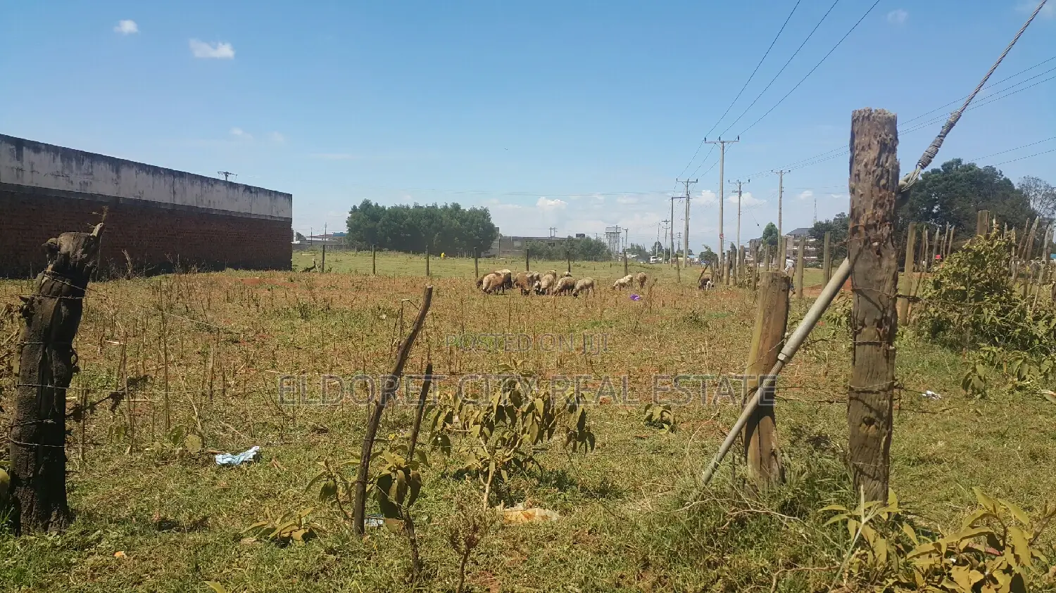 1/4 Plot Annex Stabex Area With Title