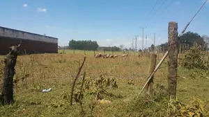 1/4 Plot Annex Stabex Area With Title