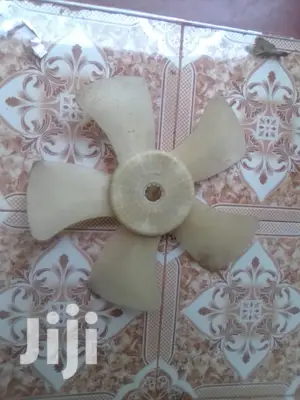 Fun And Radiator