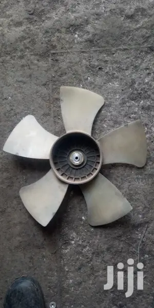 Fun And Radiator