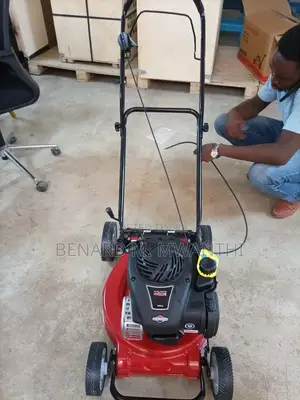 Lawnmower (Briggs Stratton)
