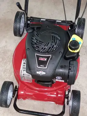 Lawnmower (Briggs Stratton)