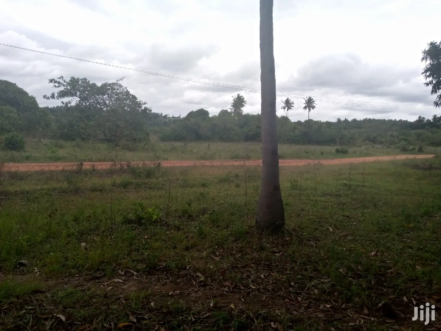 Farm House Msambweni Area.