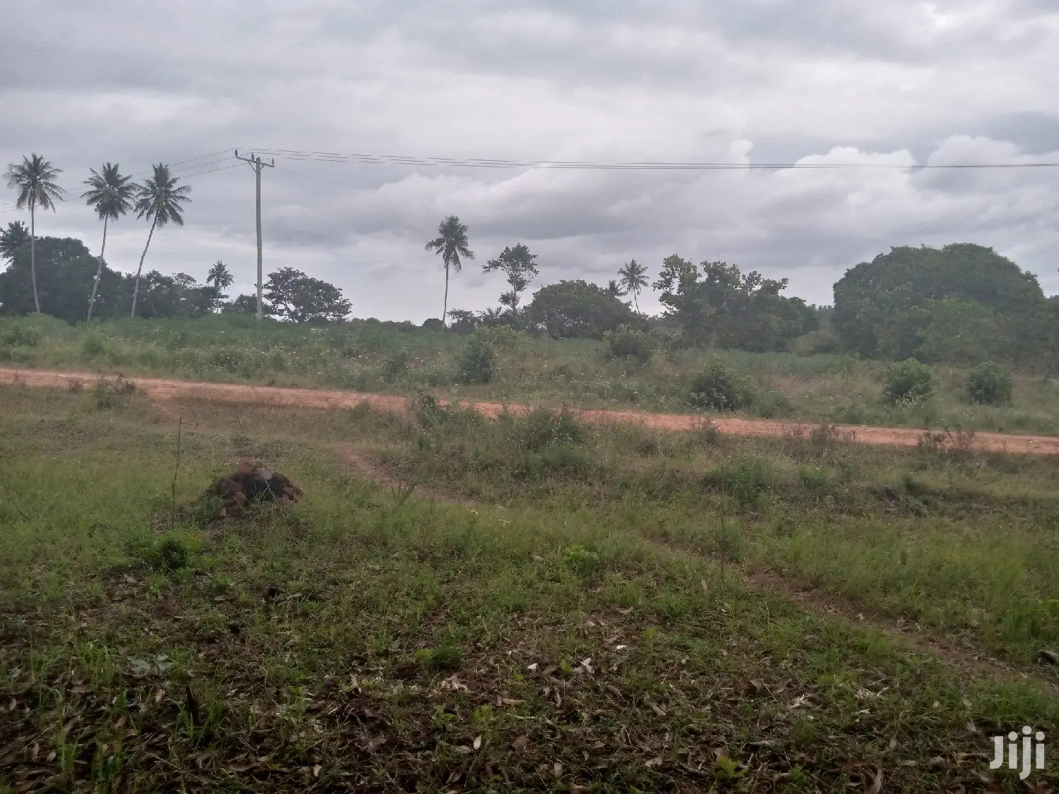 Farm House Msambweni Area.