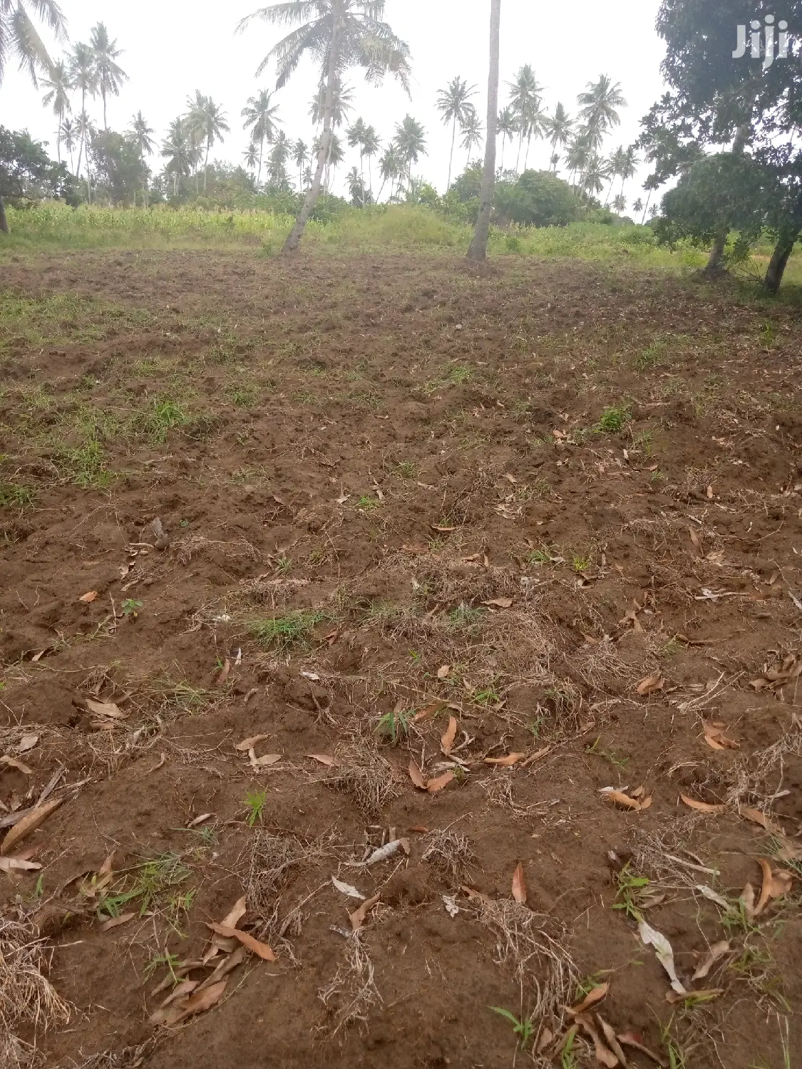 Farm House Msambweni Area.