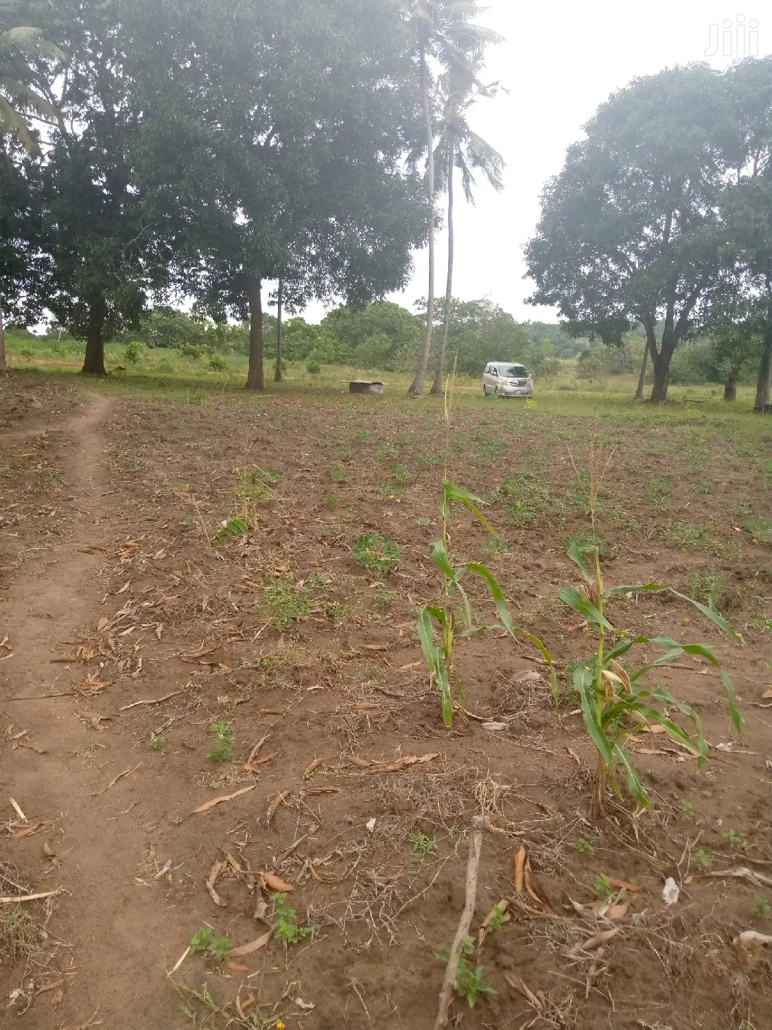 Farm House Msambweni Area.