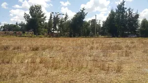 1/4 Plots Ilula 750 Metres From Tarmac