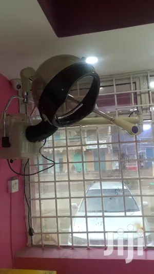 Wall Mount Hair Steamer