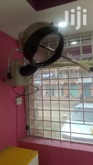 Wall Mount Hair Steamer