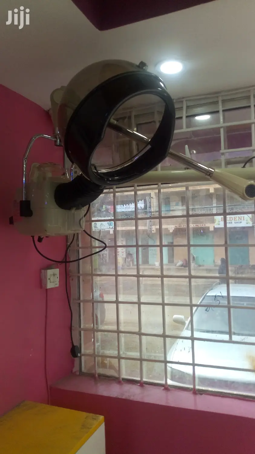 Wall Mount Hair Steamer