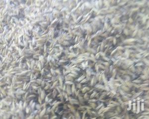 Bhoma Rhodes(Hay) Seeds, Bricharia Seeds, Buffel Grass Seeds