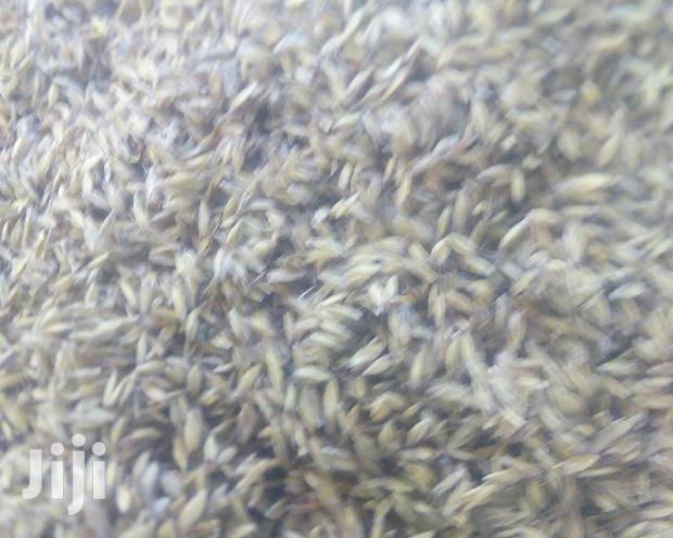 Bhoma Rhodes(Hay) Seeds, Bricharia Seeds, Buffel Grass Seeds