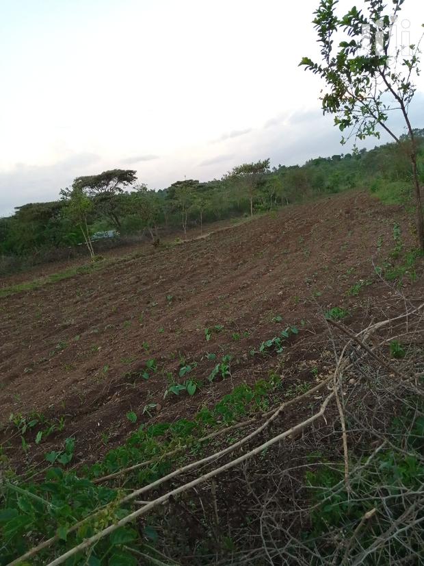 3 Acres at Masii Mbaani