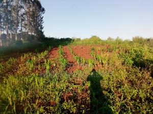 40 By 80 Plot For Sale At Kimorori - thumbnail 2