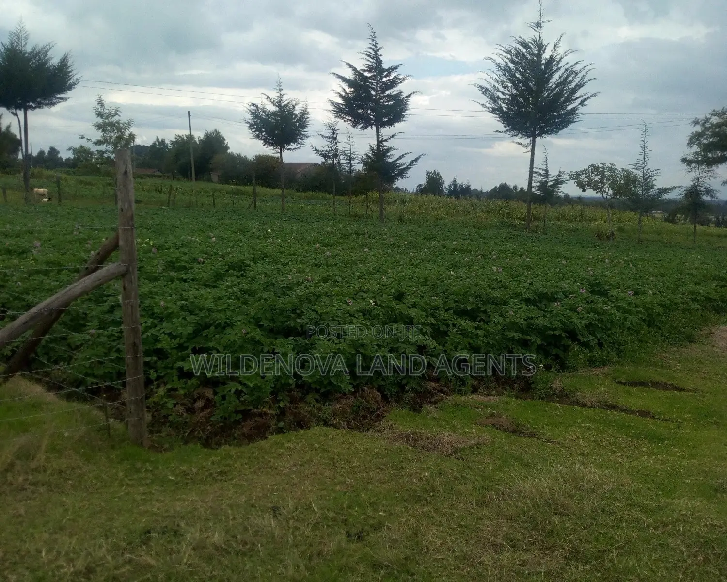 Plot On Sale A Mwendandu Kinangop