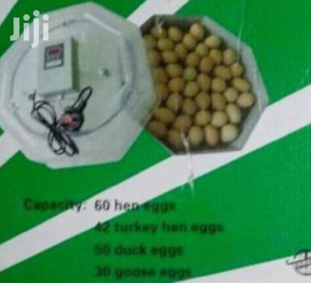 Best 60 Egg Incubator - main view