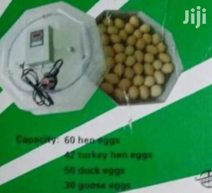 Best 60 Egg Incubator
