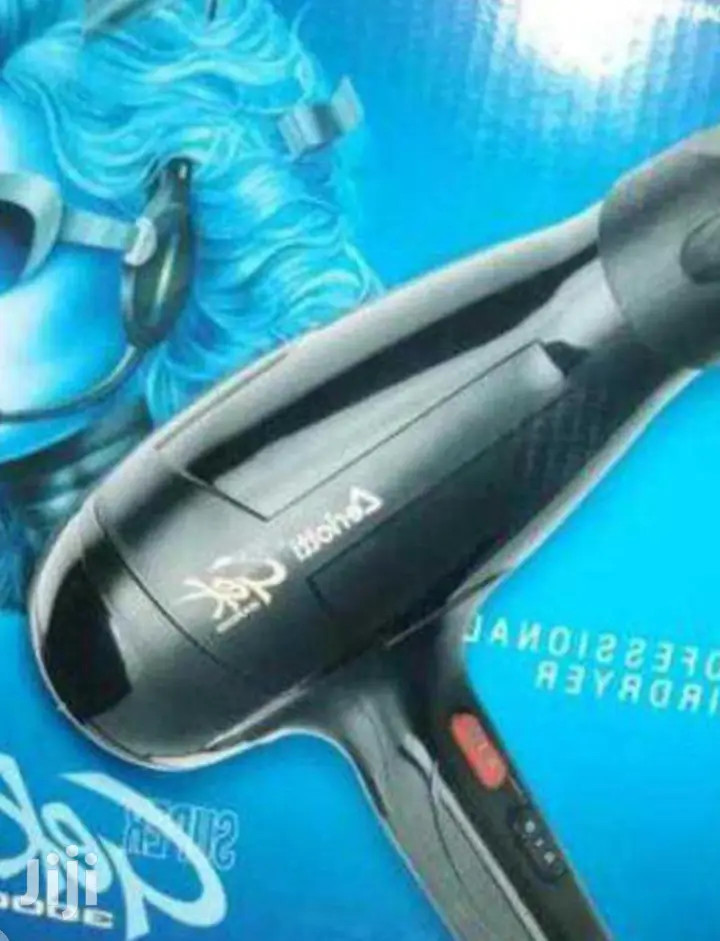 Top Rated Ceriotti Blow Dry