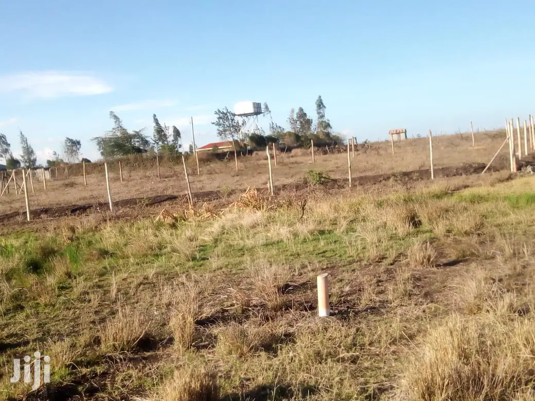 Mlolongo Plot Near Viraj 1/8 but Bigger at 620sqm