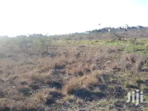 Mlolongo Plot Near Viraj 1/8 but Bigger at 620sqm