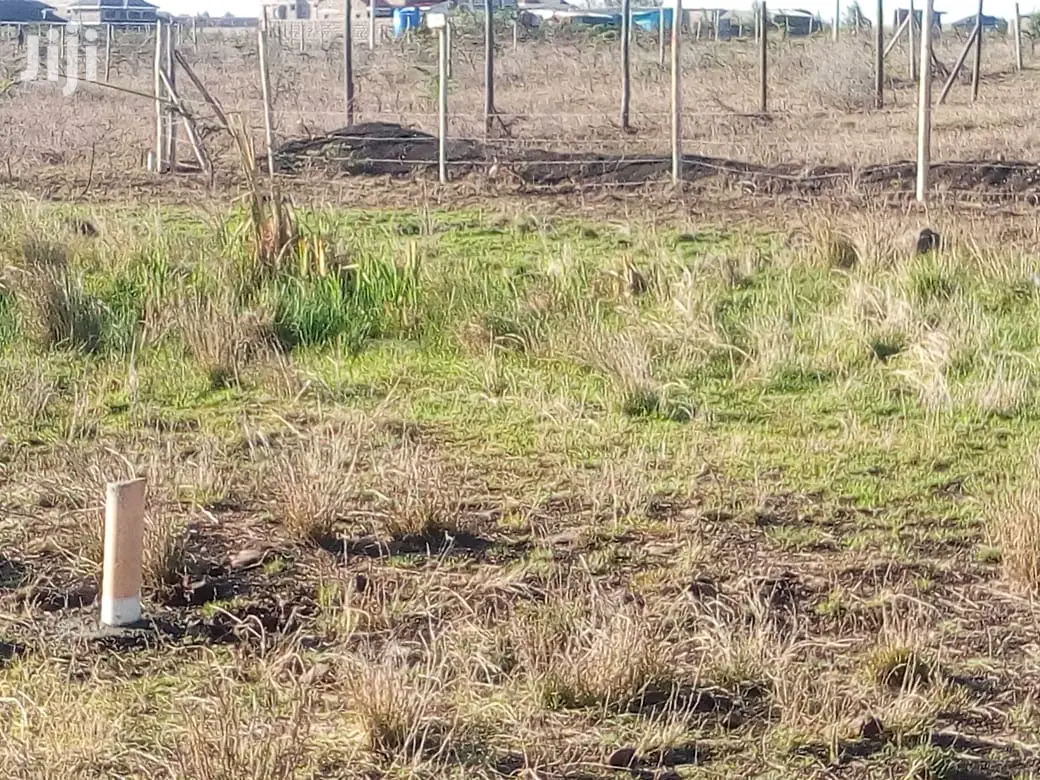 Mlolongo Plot Near Viraj 1/8 but Bigger at 620sqm