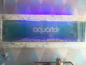 All Your Aquarium Needs, Wall Mounted Aquarium - thumbnail 2
