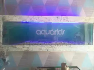 All Your Aquarium Needs, Wall Mounted Aquarium