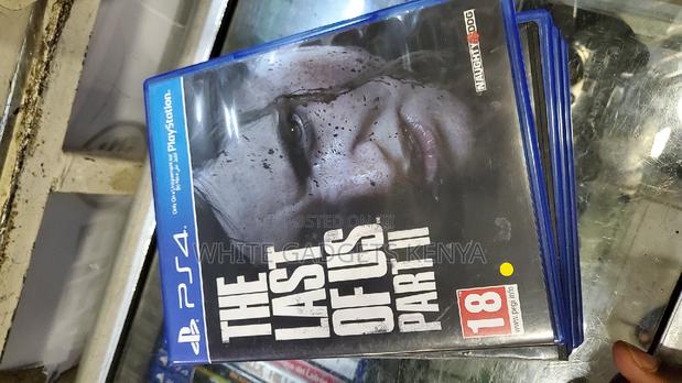 Last of Us Part 2 Ps4 - main view