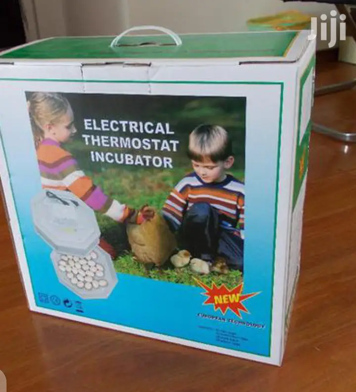 New Arrival 60 Egg Incubator Machine