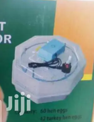For Sale 60 Egg Incubator