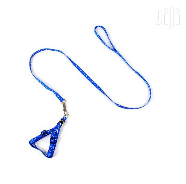 Cat Leash and Harness - main view