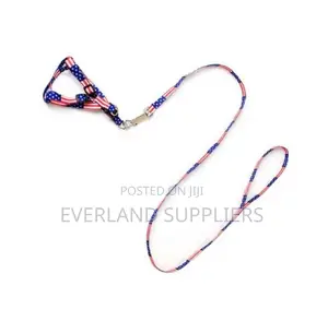 Puppy Leash and Harness
