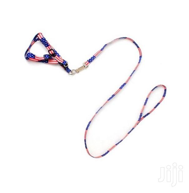 Puppy Leash and Harness - main view