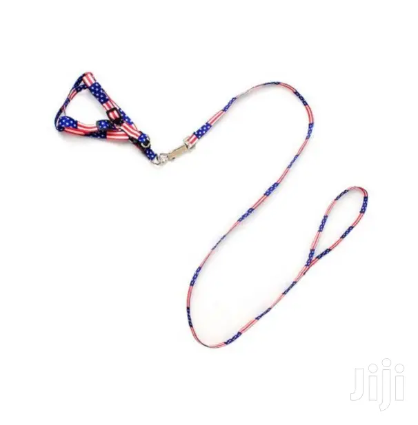 Puppy Leash and Harness