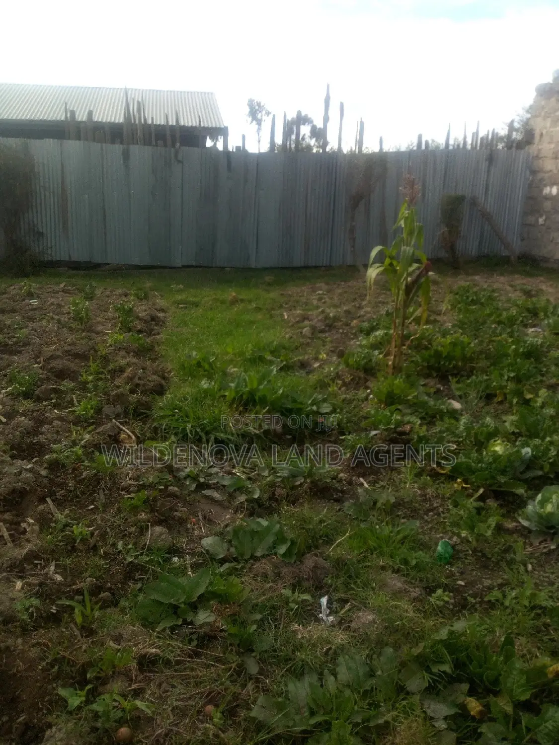 1/8 Plot On Sale At Flyover Kinangop