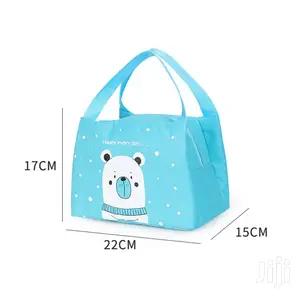 Insulated Lunch Bag