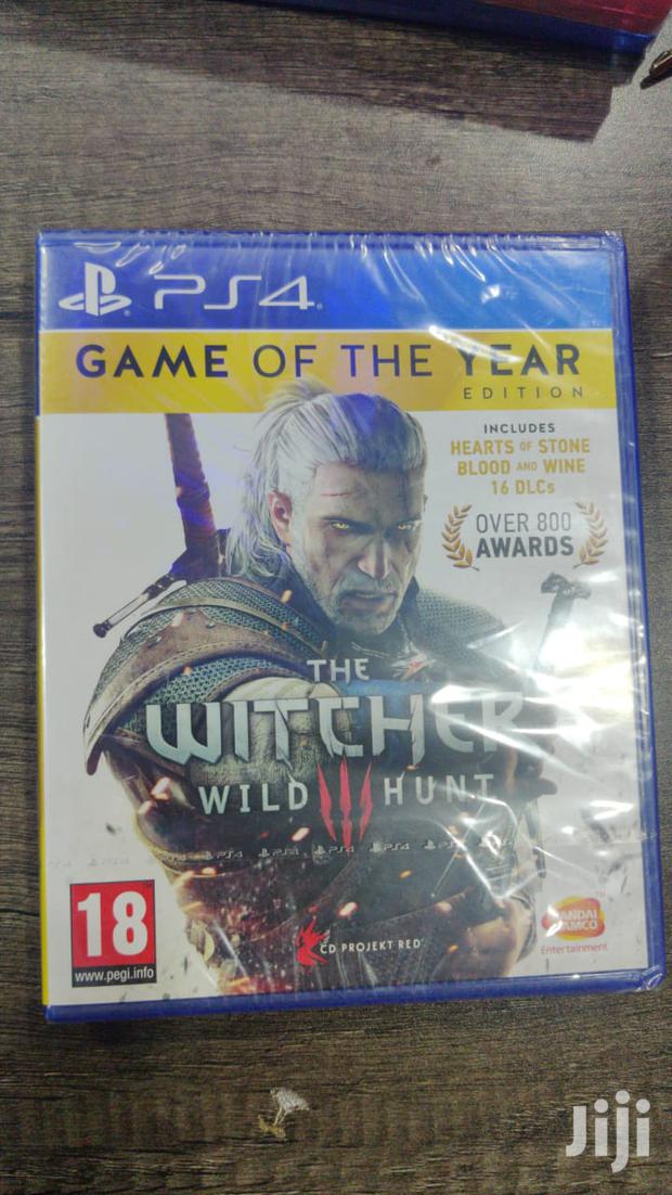 The Witcher Wild Hunt - main view