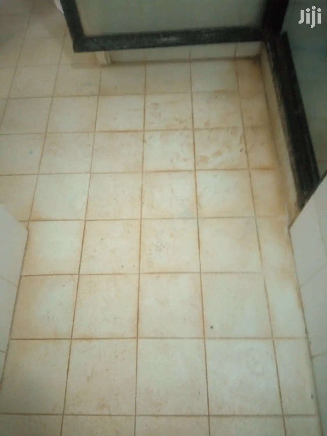 Tiles and Toilet Stain Removal Services Available