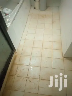 Tiles and Toilet Stain Removal Services Available