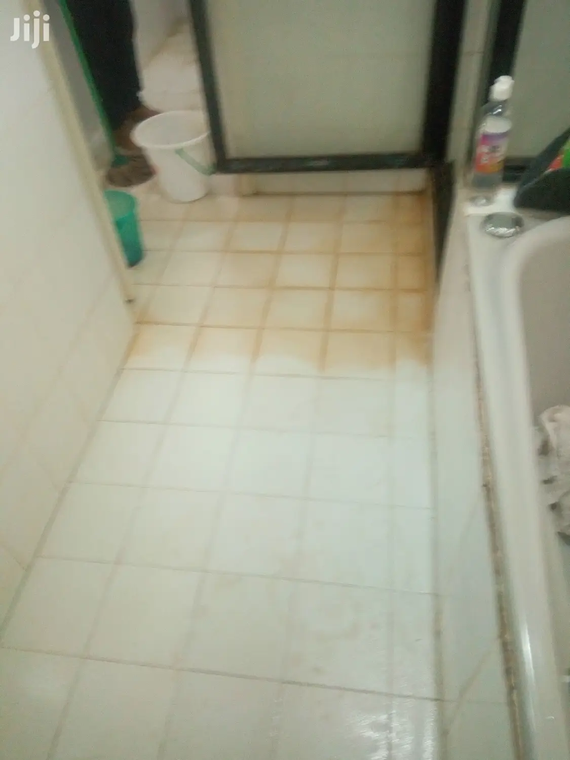 Tiles and Toilet Stain Removal Services Available