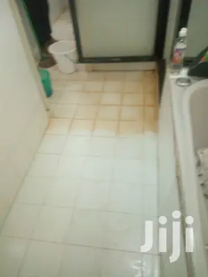 Tiles and Toilet Stain Removal Services Available